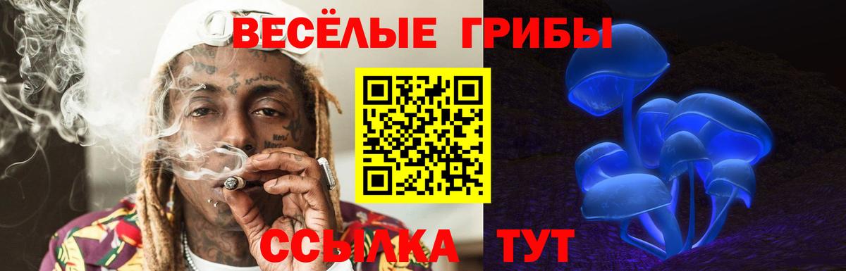 Новороссийск  Псилоцибиновые грибы Psilocybine cubensis  Галлюциногенные грибы Psilocybine cubensis  Вход с VPN 